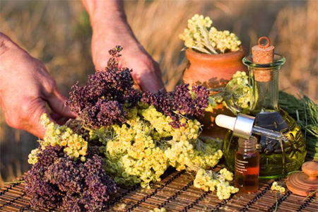 Aromatherapy concept. Bottles of essence oil with dried herb.